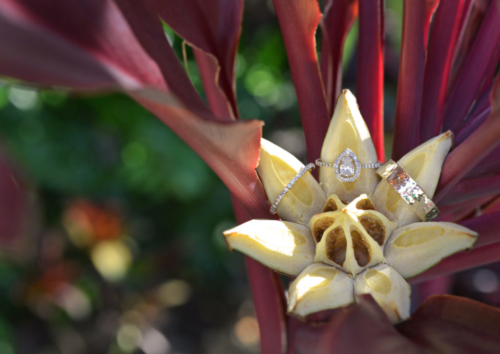 Rings Key West Wedding Destination