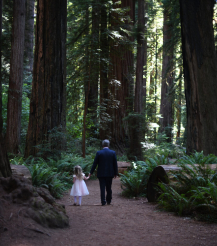 Redwood Elopement